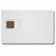 Cyberflex Access e-Gate 32k card