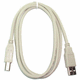 USB A-B Cable